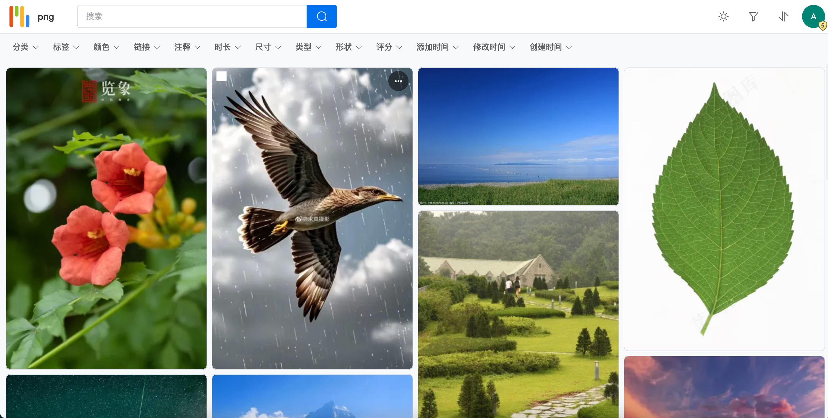 image-1759206330227